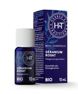 Rose Geranium (Pelargonium graveolens)